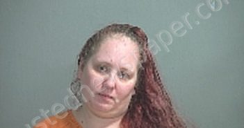 WATTS TABATHA M | 2021-04-30 Sandusky County, Ohio Booking