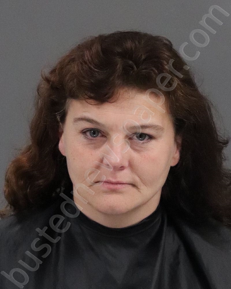 BUSH, LISA MICHELLE #, Anderson County, South Carolina - 2021-05-01 02:26:00