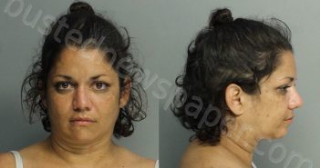 <B>RODRIGUEZ</B>, FLOR <B>ANGEL</B> #, Miami-Dade County, Florida - 2021-05-02 12:12:00