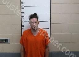 RICHARD SEIBER | 2021-05-03 14:17:00 Morgan County, Tennessee Booking