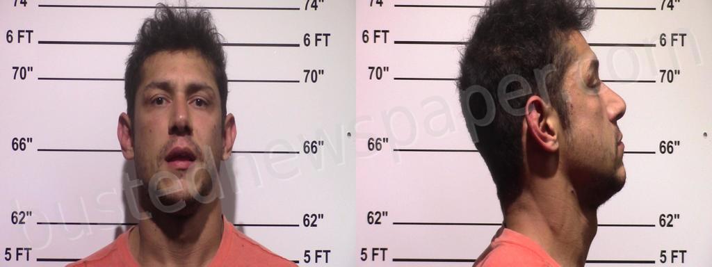 MCNEILL, TRAVIS REX #, Gillespie County, Texas - 2021-05-04