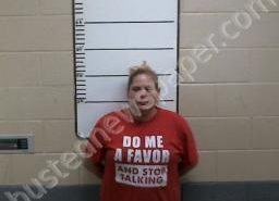 CORTNEY BRYSON | 2021-05-04 22:36:00 Morgan County, Tennessee Booking