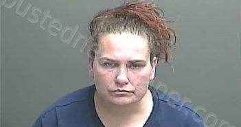 CHAMBERS, RACHEL LYNN | 2021-05-05 21:45:00 Knox County, Indiana Booking