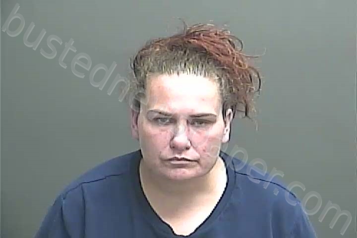 CHAMBERS, RACHEL LYNN #, Knox County, Indiana - 2021-05-05 21:45:00