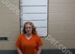 ALESA SHOFFNER | 2021-05-05 17:55:00 Morgan County, Tennessee Booking