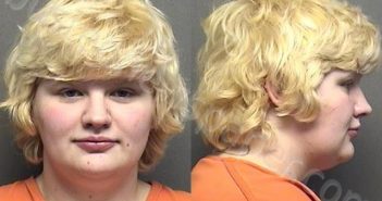 ANDERSON,CARLETTA MICHELE | 2021-05-08 19:15:00 Saline County, Kansas Booking