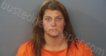 JOSLIN, HEATHER NICOLE | 2021-05-09 23:23:00 Hendricks County, Indiana Booking