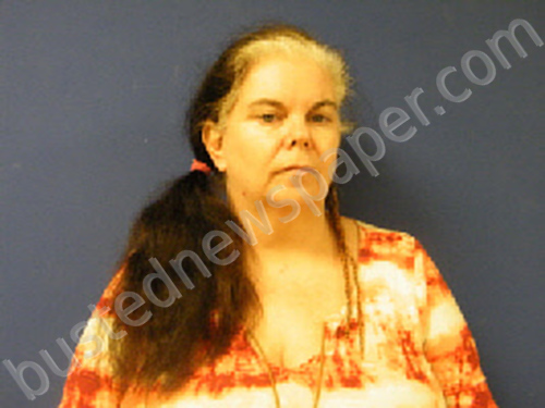 WILSON, KIMBERLY KRUG #, Sampson County, North Carolina - 2021-05-10 13:23:00