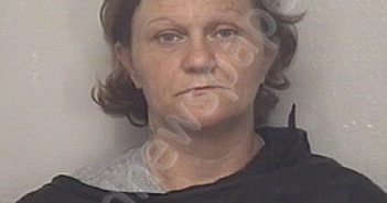 <B>HAYES</B>, <B>BRANDY</B> ELAINE #, Cleveland County, North Carolina - 2021-05-10