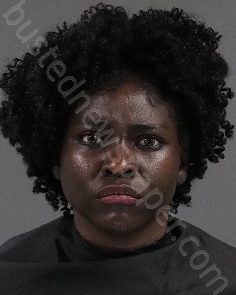 ZIMMERMAN, ZANJI MICHELLE #, Anderson County, South Carolina - 2021-05-11 18:23:00