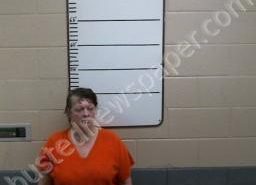 HEIDI WILLIAMS | 2021-05-11 00:26:00 Morgan County, Tennessee Booking