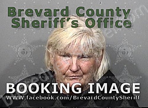 COOK, AMY LOUIS #, Brevard County, Florida - 2021-05-12 20:00:00