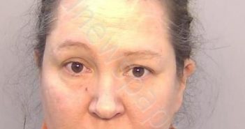 FAULKNER, LYNORE ANN | 2021-05-12 09:02:00 Chesapeake, Virginia Booking