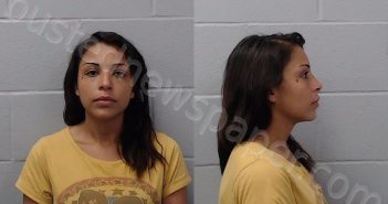 <B>GONZALES</B>, <B>CRYSTAL</B> <B>LYNN</B> #, Hays County, Texas - 2021-05-13