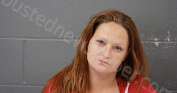 HAGGARD, NATASHA RENEA | 2021-05-15 16:30:00 Cooper County, Missouri Booking