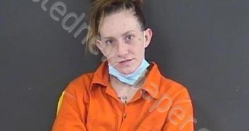 REED, APRIL NICOLE | 2021-05-17 01:33:00 Roanoke County, Virginia Booking
