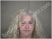 BERG, TAMMY | 2021-05-18 Harnett County, North Carolina Booking