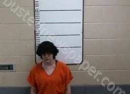 ASHLEY DYLE | 2021-05-18 01:10:00 Morgan County, Tennessee Booking