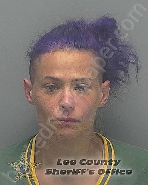 MORRIS, SHANDA LAVONNE #, Lee County, Florida - 2021-05-18 19:18:00