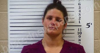 FRADY, KESHIA NICHOLE | 2021-05-19 17:41:00 Cherokee County, North Carolina Booking