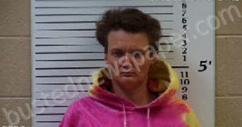 HICKS, MELANIE | 2021-05-20 11:10:00 Cherokee County, North Carolina Booking