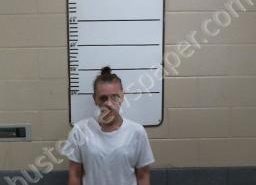 DEBRA LAWSON | 2021-05-21 15:34:00 Morgan County, Tennessee Booking