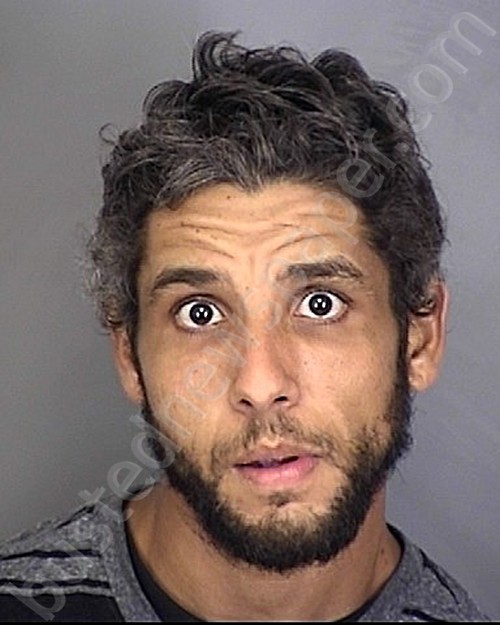 SANCHEZ RODRIGUEZ, FELIX RAFAEL #, Highlands County, Florida - 2021-05-22 20:23:08