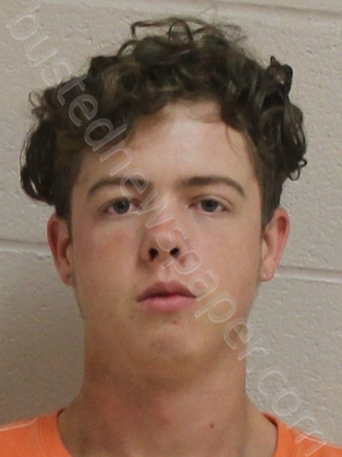 HARDING,JOSHUA TYLER #, Brown County, Texas - 2021-05-24