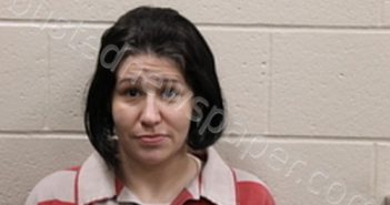 ASHLEY RYAN BURNS | 2021-05-26 09:00:00 Andrew County, Missouri Booking