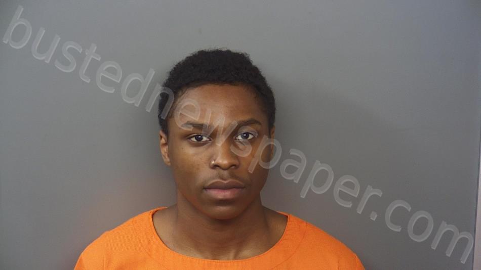 SHELTON, JONATHAN THOMAS DEWAYNE #, Hendricks County, Indiana - 2021-05-26 12:16:00