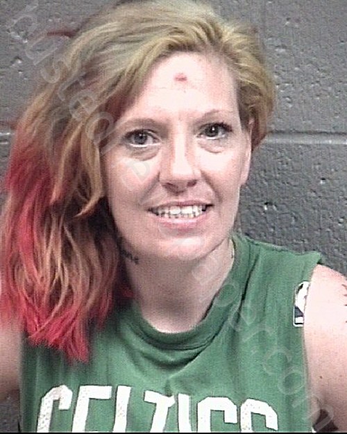 FORSYTHE, ROBIN JOY #, Stanly County, North Carolina - 2021-05-26 14:53:00