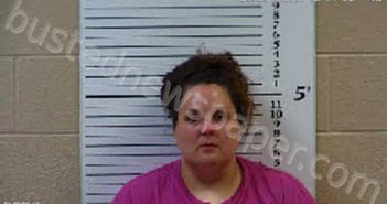 BROWN, TASHA NIGEL | 2021-05-27 11:37:00 Cherokee County, North Carolina Booking