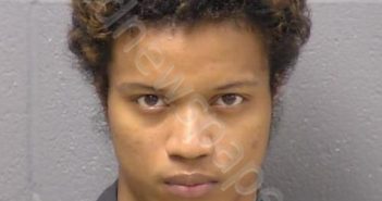 LEE, ANGELO D | 2021-05-29 01:00:00 Will County, Illinois Booking