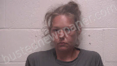 RYMAN, BRIDGET PAULA SUE #, Robertson County, Tennessee - 2021-05-29 01:51:00