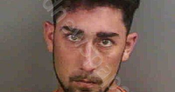 <B>BRAUN</B>,<B>JACOB</B> <B>CHRISTOPHER</B> #, Collier County, Florida - 2021-05-31