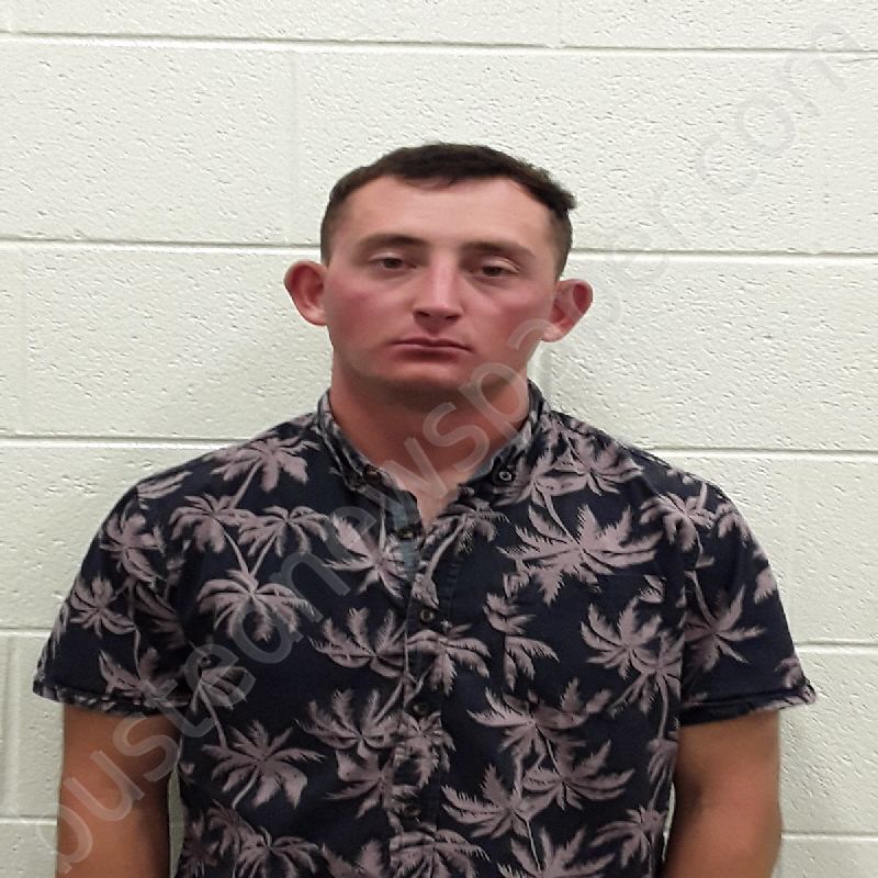 MOSES, TIMMOTHY LEE #, Monroe County, Tennessee - 2021-05-31 01:06:00