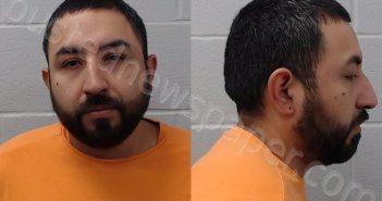 SALINAS, ARMANDO JAVIER | 2021-06-01 Hays County, Texas Booking