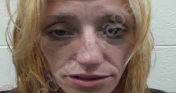 <B>PLEMONS</B>, <B>ASHLEY</B> <B>NICOLE</B> #, Monroe County, Tennessee - 2021-06-01 13:58:00