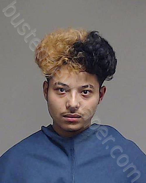 DEVORA, ANGEL ALBA #, Collin County, Texas - 2021-06-03 13:22:00