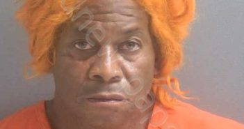 <B>POWELL</B>, <B>ELLORY</B> <B>D</B> #, Volusia County, Florida - 2021-06-03 18:06:00