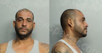 <B>PENA</B>, DANILO <B>ANTONIO</B> #, Miami-Dade County, Florida - 2021-06-05 13:11:00