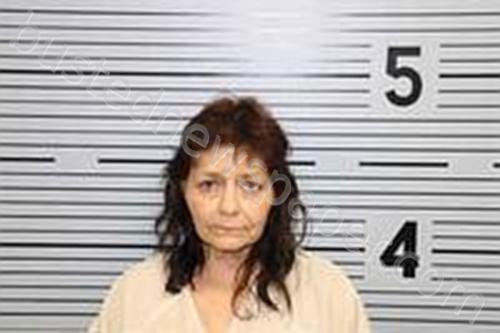 KIMBERLY ANN JOHNSON #, Jackson County, Alabama - 2021-06-07 20:31:00