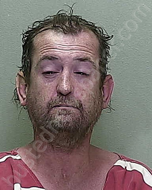 PROCTOR, MICHAEL LLOYD #, Marion County, Florida - 2021-06-08 20:30:00