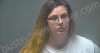 WIERS, CAROL ANN | 2021-06-08 08:40:00 Isabella County, Michigan Booking