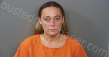 WINTERS, MICHELLE LORRANIE | 2021-06-08 13:35:00 Hendricks County, Indiana Booking