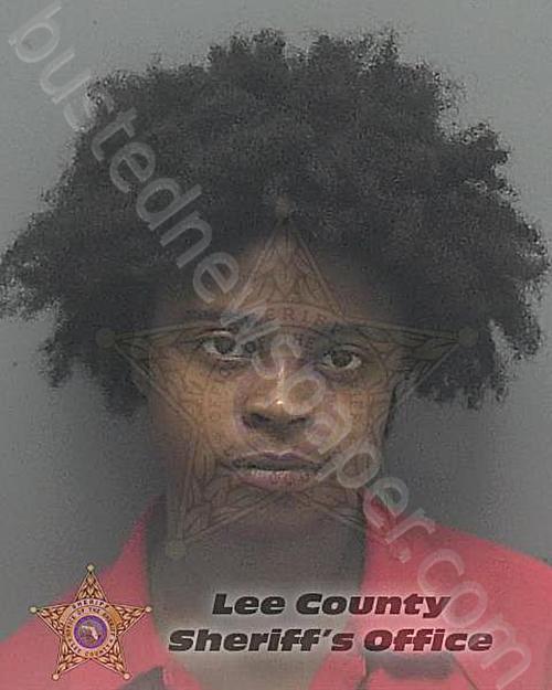 ROBERSON, JAYLYA CASHAY #, Lee County, Florida - 2021-06-10 03:19:00