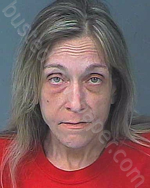 WAGNER, DENISE ANN #, Hernando County, Florida - 2021-06-10 11:24:00