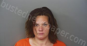 CHAPPELOW, ASHELY DAWN | 2021-06-10 10:04:00 Hendricks County, Indiana Booking