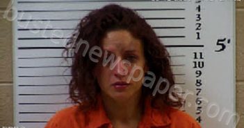 ROSARIO, RACHELLE RENEE WILLIS | 2021-06-10 15:29:00 Cherokee County, North Carolina Booking