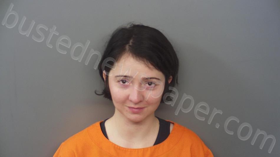 BRONGER, HALEY DAWN #, Hendricks County, Indiana - 2021-06-10 02:52:00